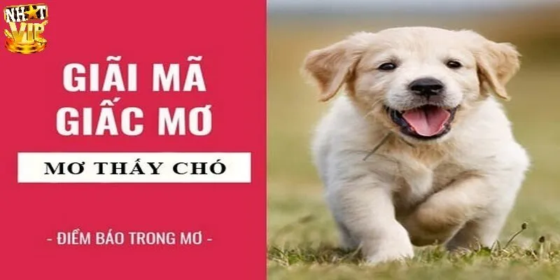 Giải mã khi nằm mơ thấy chó đánh con gì