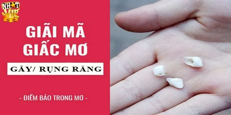 Giải mã chi tiết giấc mơ thấy răng rụng