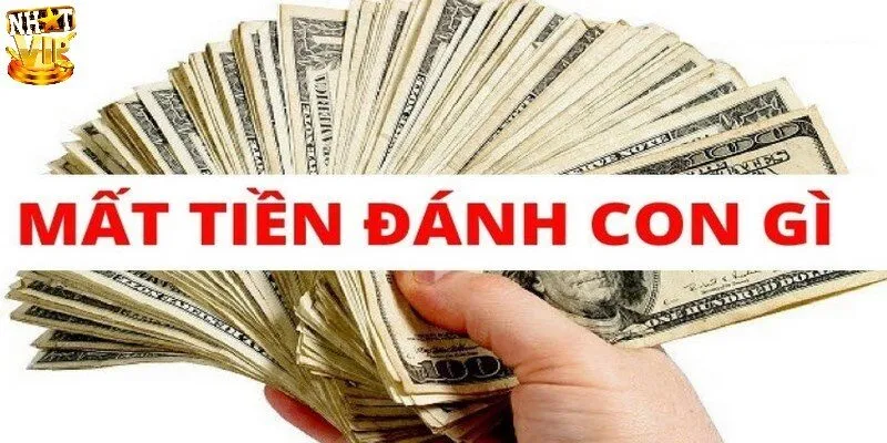 Bật mí số đẹp đánh ngay khi mơ bị mất tiền