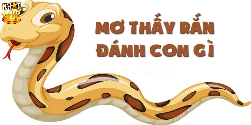 Mơ Thấy Rắn Đánh Con Gì? Gợi Ý Số May Mắn Và Giải Mã Ý Nghĩa