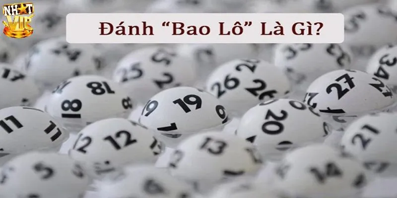 Bao lô là gì?