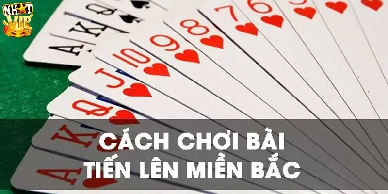 Quy luật chơi Tiến Lên Miền Bắc dành cho người mới bắt đầu