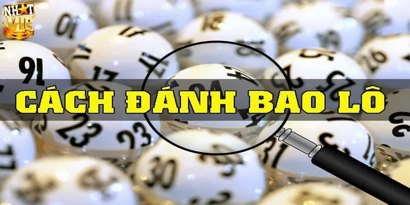 Các loại hình bao lô là gì?