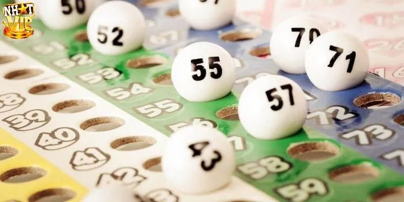 Nên đánh bao lô hay không?