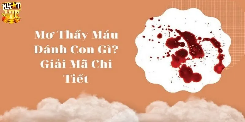 Giải mã mơ thấy máu đánh con gì cho lô thủ