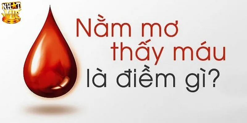 Mơ Thấy Máu Đánh Con Gì? Gợi Ý Các Con Số May Mắn Chơi Lô Đề