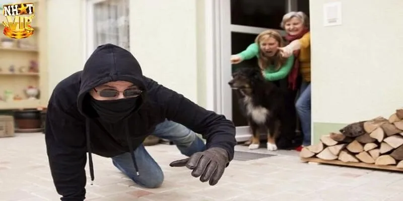 Nằm mơ thấy trộm là điềm báo tốt hay xấu