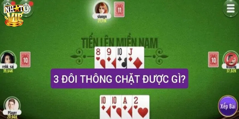 Vài nét tìm hiểu về 3 đôi thông