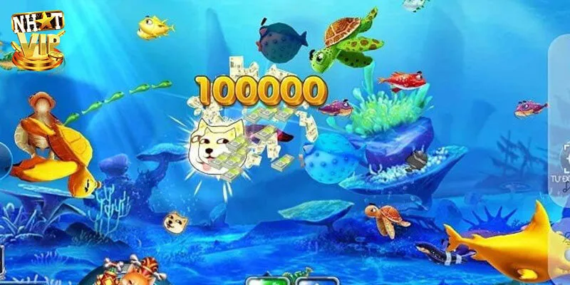 Bắn cá online cung cấp nhiều phòng cược