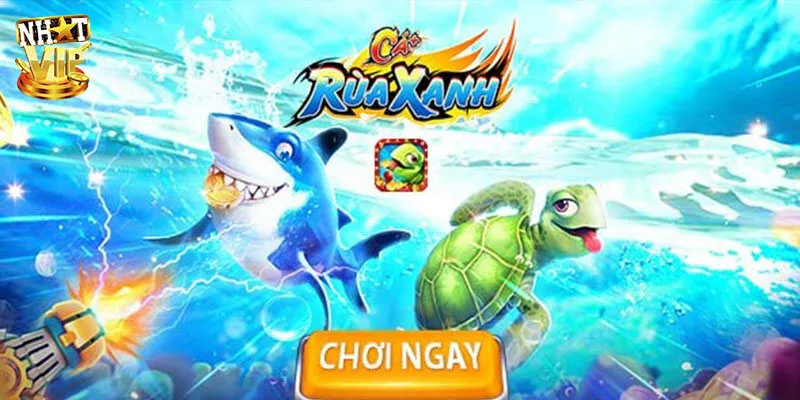 Kinh nghiệm chơi bắn cá rùa xanh luôn thắng