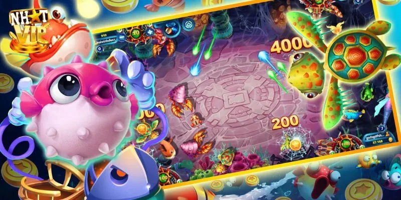 Bí kíp trở thành vua săn cá đến từ cao thủ