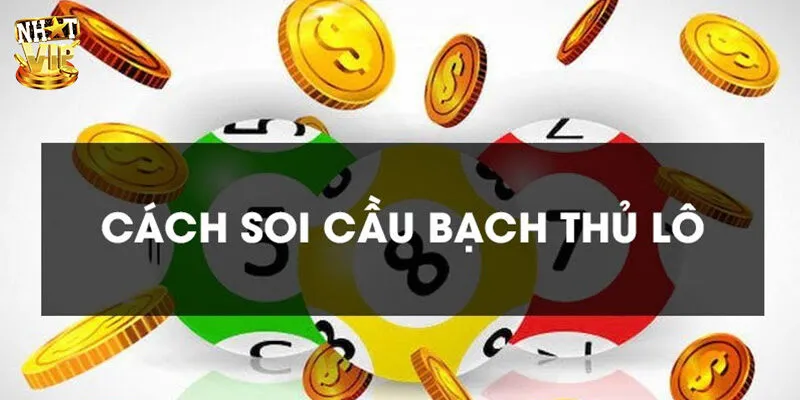 Top phương pháp nuôi lô bạch thủ hiệu quả hiện nay