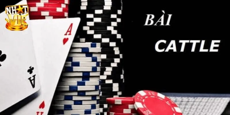 Giới thiệu đôi nét về game bài catte