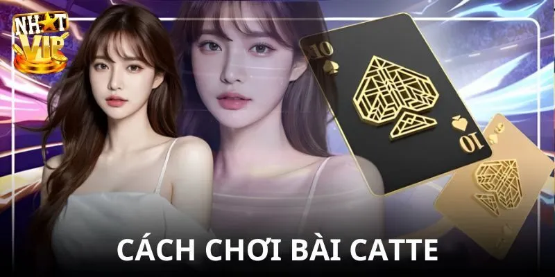 Kinh nghiệm chơi bài catte thắng thưởng khủng