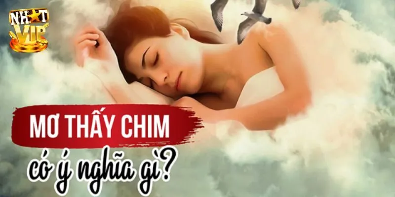 Giải mã điềm báo của mơ thấy chim