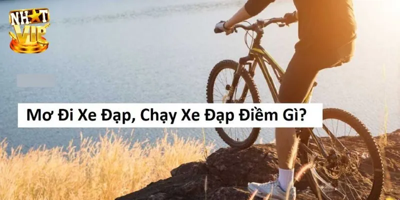 Mơ thấy xe đạp đánh số để săn thưởng khủng?