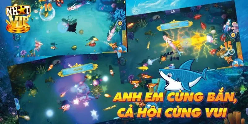 Bỏ túi mẹo săn ngư bất khả chiến bại dành cho người mới