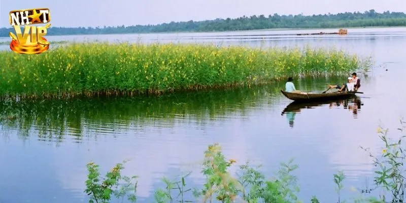 Nhìn thấy mình bị rơi xuống sông trong mơ