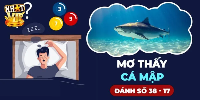 Gợi ý các bộ số trong trường hợp mơ thấy cá mập