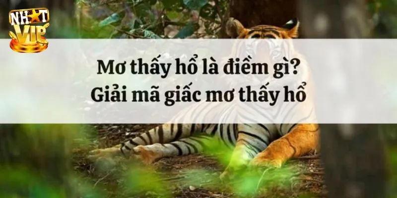 Giải mã điềm báo về giấc mơ thấy hổ mới nhất 2024