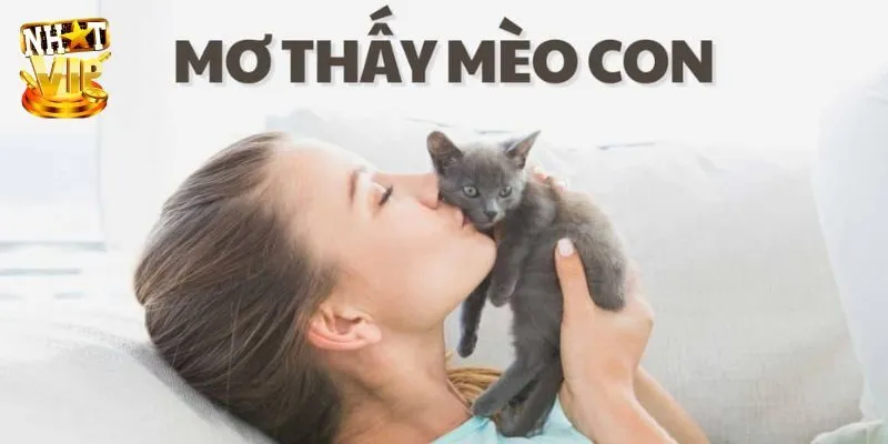 Khi nằm mơ thấy mèo nên đánh con gì thu hút tiền tài?