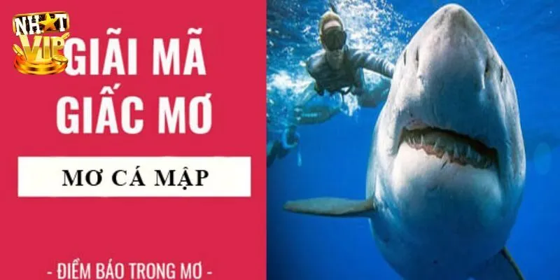 Giải nghĩa những trường hợp mơ thấy cá mập thường gặp