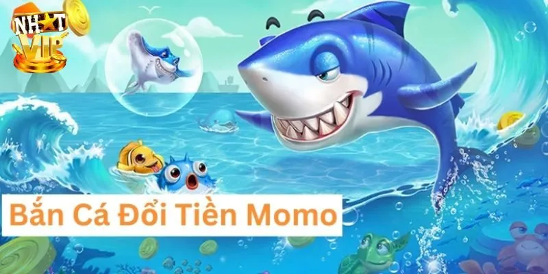 Giới thiệu cơ bản về game bắn cá đổi tiền momo