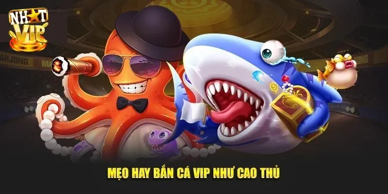 Bỏ túi kinh nghiệm săn ngư nhận thưởng cực VIP
