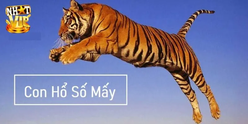 Nằm mơ thấy hổ đánh con gì có tài vận lô đề?