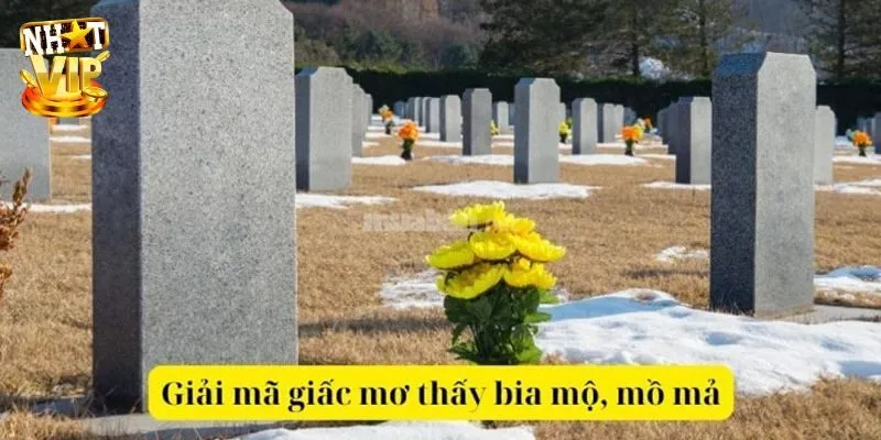 Mơ Thấy Mộ Là Điềm? Giải Mã Giấc Mơ Và Con Số Mới Nhất 2024