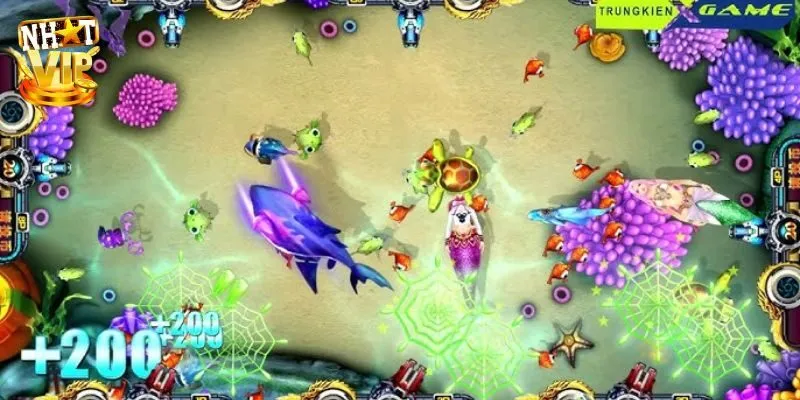 Bỏ túi mẹo săn ngư tiểu tiên cá hiệu quả cho bạn mới