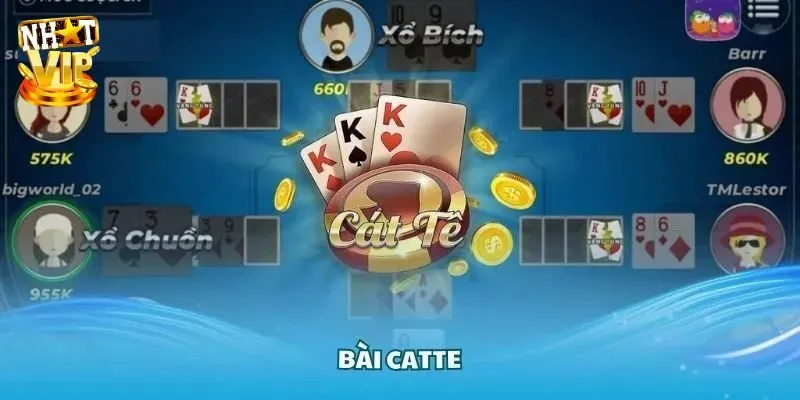 Luật chơi bài catte quan trọng cho người mới bắt đầu