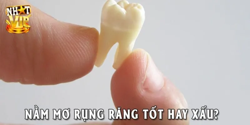 Ý nghĩa chi tiết của mơ thấy rụng răng cho mọi người