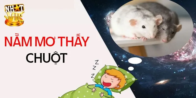 Tổng hợp thông điệp, ý nghĩa giấc mơ thấy chuột