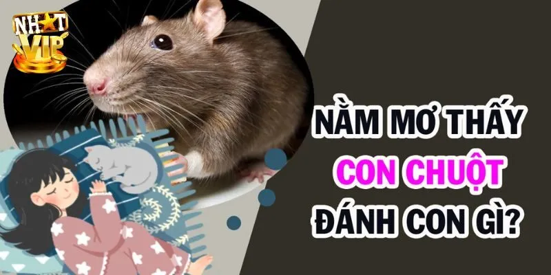 Khi nằm mơ thấy chuột đánh con gì ăn được lô đề?
