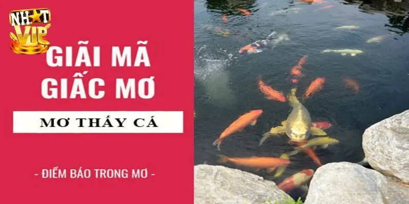 Giải mã giấc mơ thấy cá phổ biến mới nhất 2025