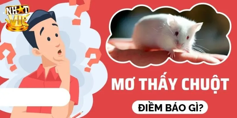 Nhìn thấy chuột bạch trong mộng