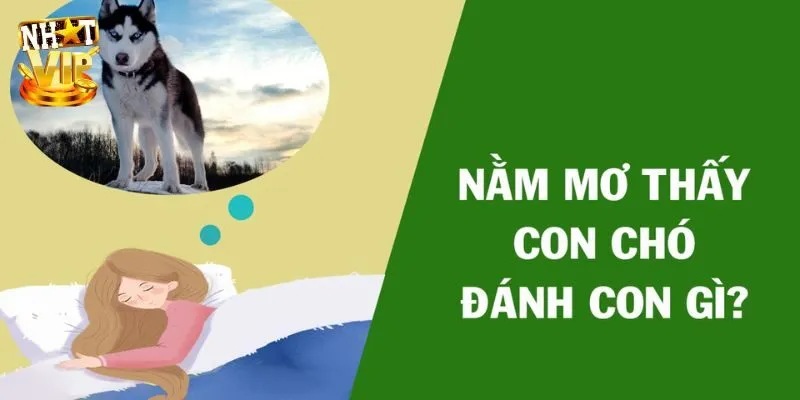 Nằm mơ thấy 3 con chó nên đánh gì thử vận lô đề?