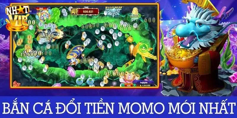Bắn cá momo là gì?