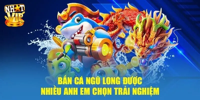 Mẹo chơi bắn cá Ngũ Long hiệu quả săn thưởng khủng