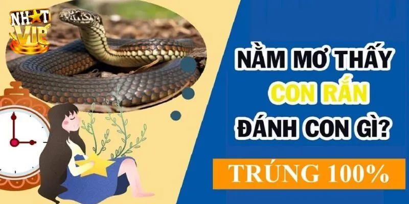 Mơ Thấy Rắn - Nhatvip Giải Mã Con Số May Mắn Dễ Trúng Nhất