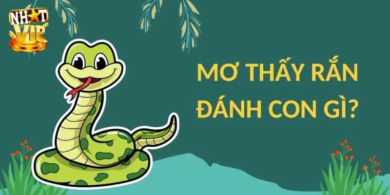 Ngủ mơ thấy rắn trắng hoặc vàng – Chọn số 32 - 67